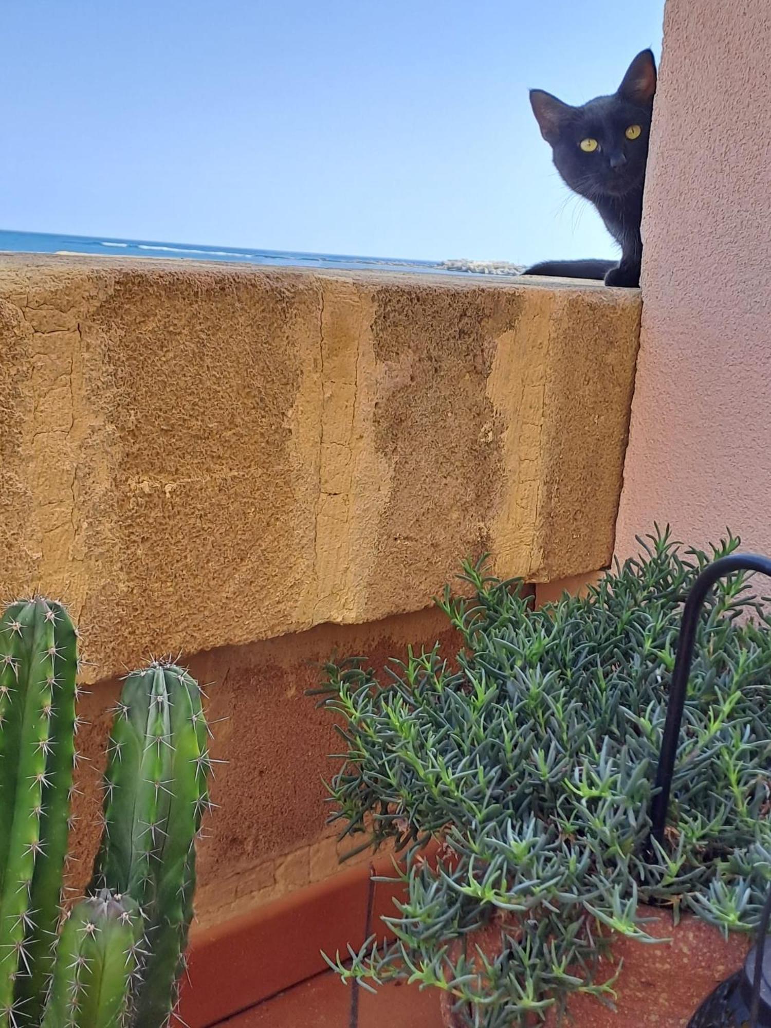 La Casa Sulla Spiaggia Marzamemi Zewnętrze zdjęcie